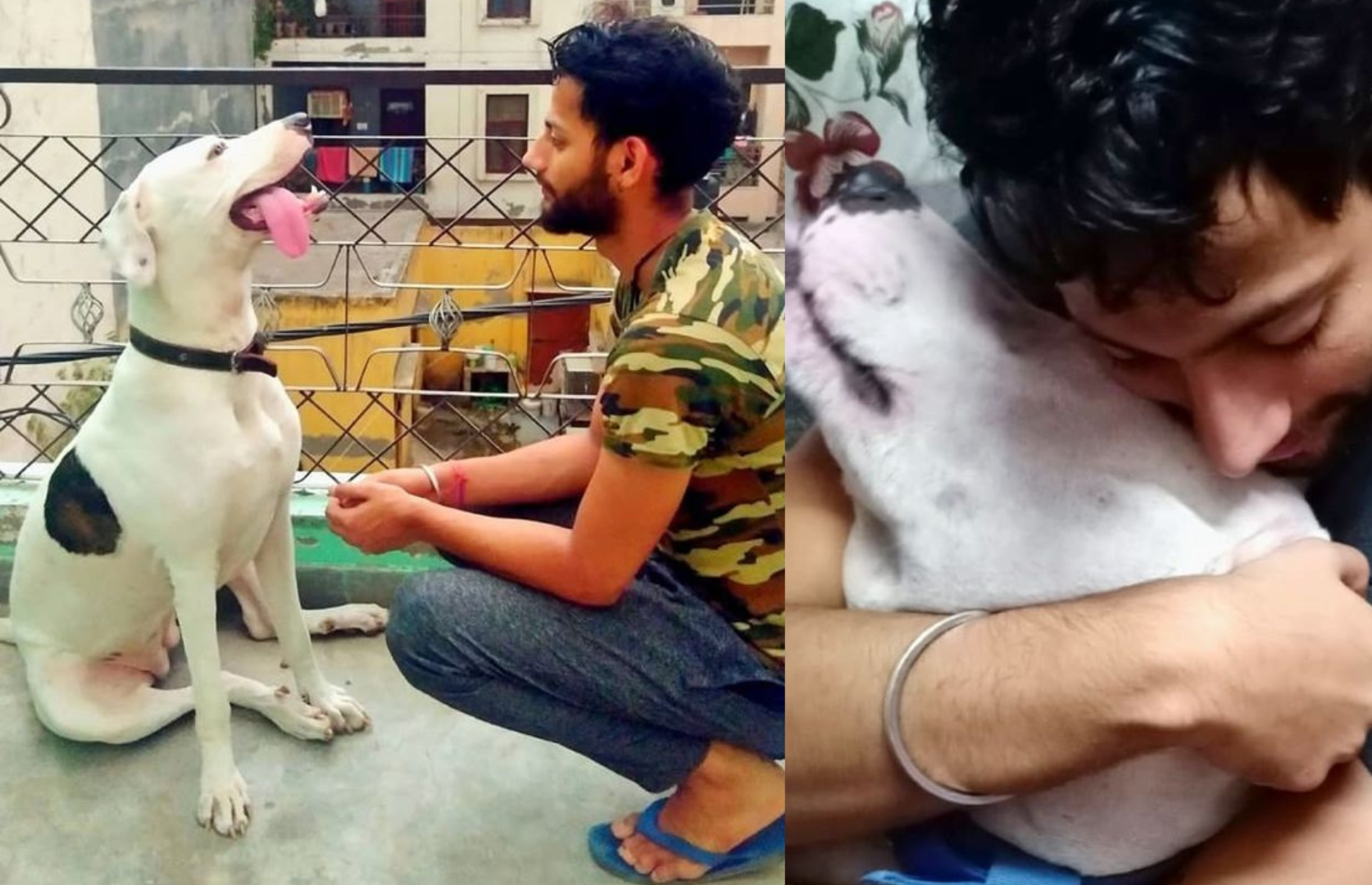 Adoption Stories